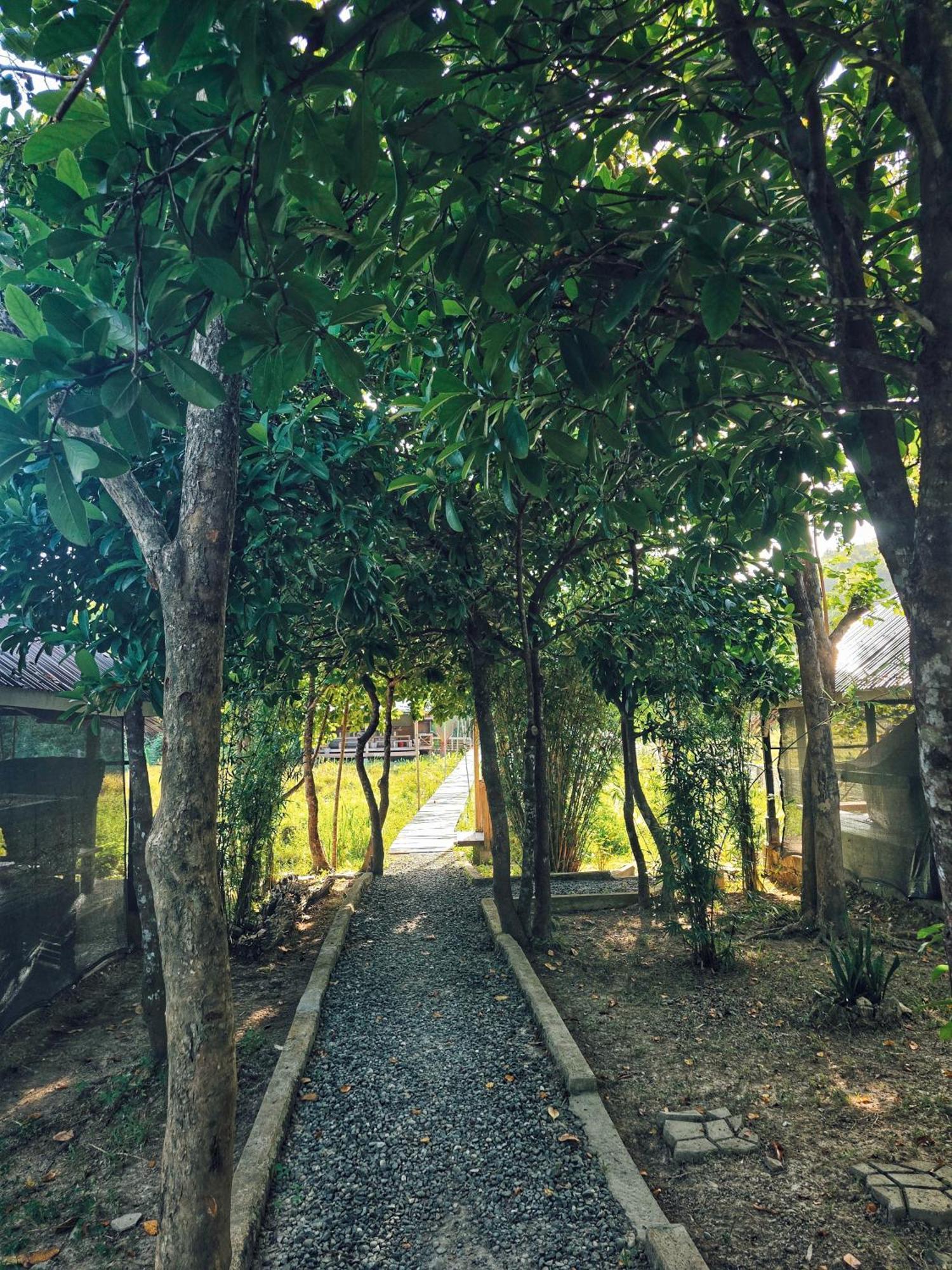 Cabanas De Nacpan Camping Resort Эль-Нидо Экстерьер фото